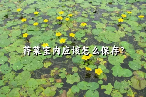 荇菜室内应该怎么保存？