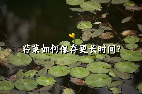 荇菜如何保存更长时间？