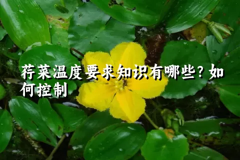 荇菜温度要求知识有哪些？如何控制