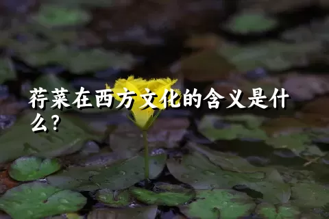 荇菜在西方文化的含义是什么？