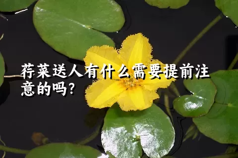 荇菜送人有什么需要提前注意的吗？