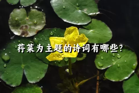 荇菜为主题的诗词有哪些？