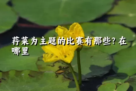 荇菜为主题的比赛有那些？在哪里