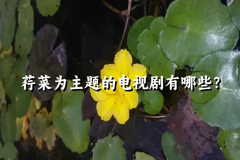 荇菜为主题的电视剧有哪些？