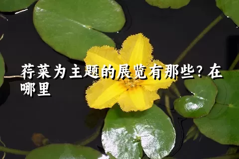 荇菜为主题的展览有那些？在哪里