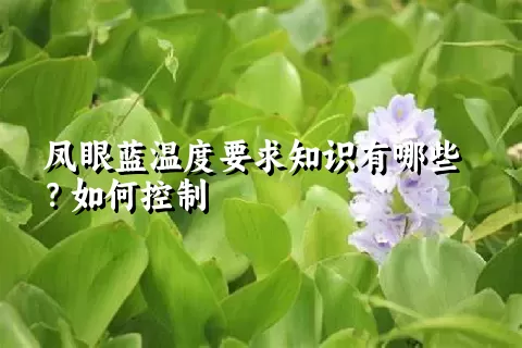 凤眼蓝温度要求知识有哪些？如何控制