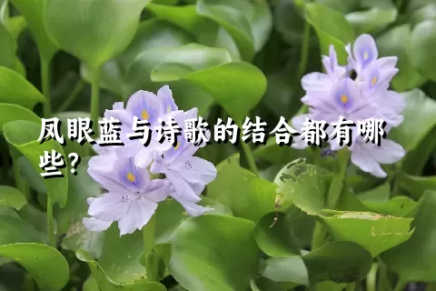 凤眼蓝与诗歌的结合都有哪些？