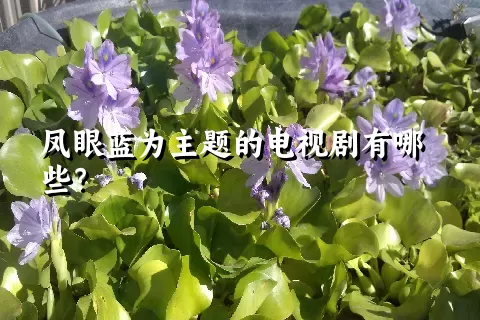 凤眼蓝为主题的电视剧有哪些？