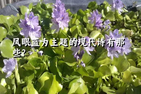 凤眼蓝为主题的现代诗有那些？