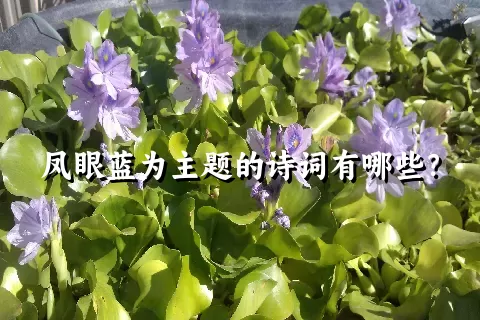 凤眼蓝为主题的诗词有哪些？