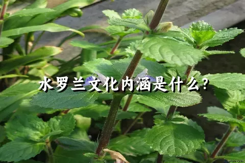 水罗兰文化内涵是什么？