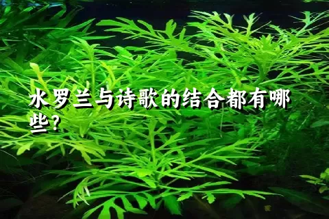 水罗兰与诗歌的结合都有哪些？