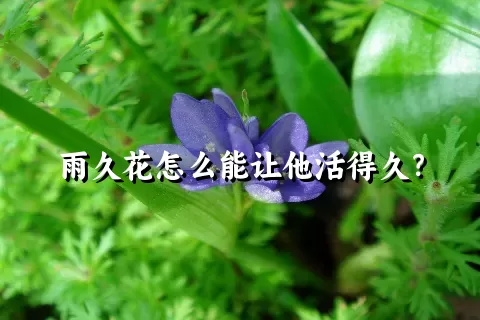 雨久花怎么能让他活得久？