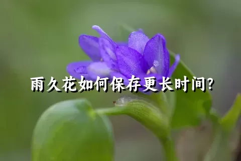 雨久花如何保存更长时间？