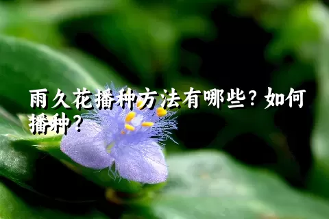 雨久花播种方法有哪些？如何播种？