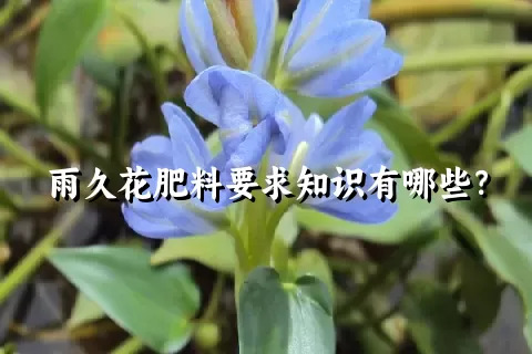 雨久花肥料要求知识有哪些？