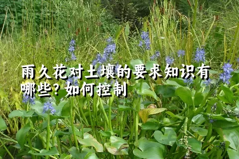 雨久花对土壤的要求知识有哪些？如何控制