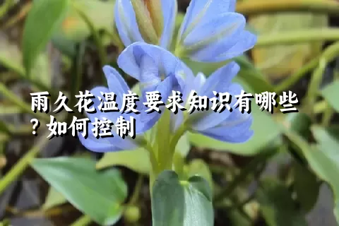 雨久花温度要求知识有哪些？如何控制