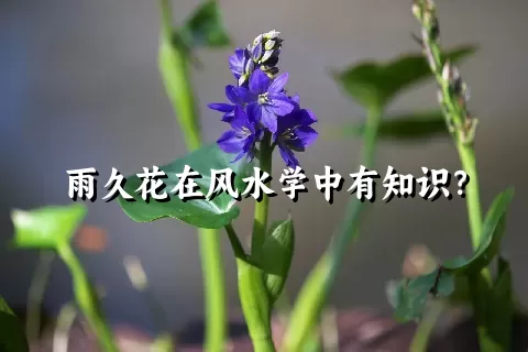 雨久花在风水学中有知识？