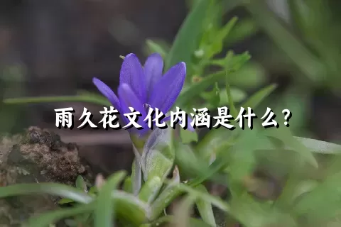 雨久花文化内涵是什么？