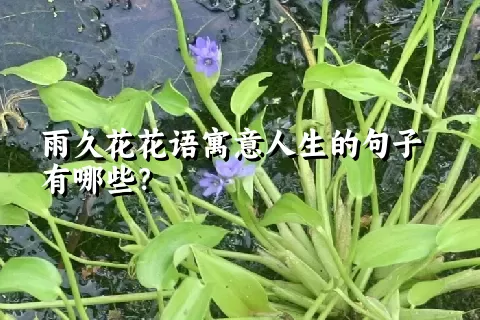 雨久花花语寓意人生的句子有哪些？