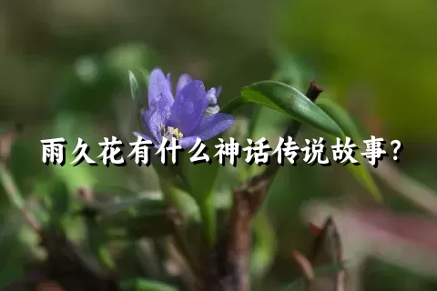 雨久花有什么神话传说故事？