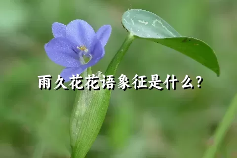 雨久花花语象征是什么？