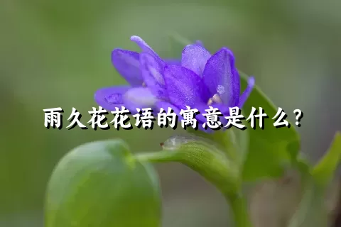 雨久花花语的寓意是什么？