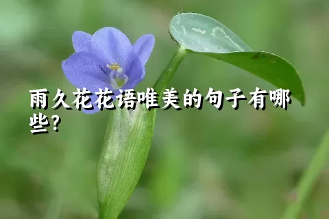 雨久花花语唯美的句子有哪些？