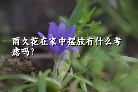 雨久花在家中摆放有什么考虑吗？