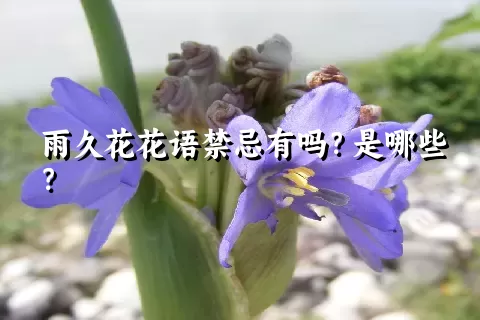 雨久花花语禁忌有吗？是哪些？