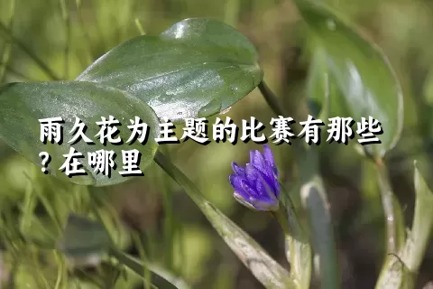 雨久花为主题的比赛有那些？在哪里