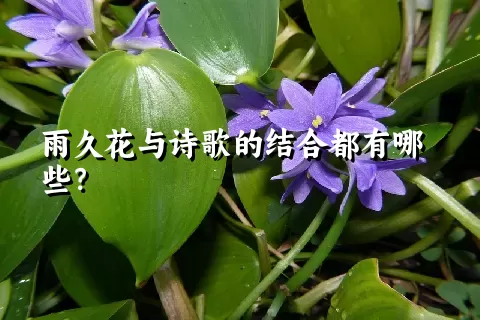 雨久花与诗歌的结合都有哪些？