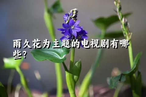 雨久花为主题的电视剧有哪些？