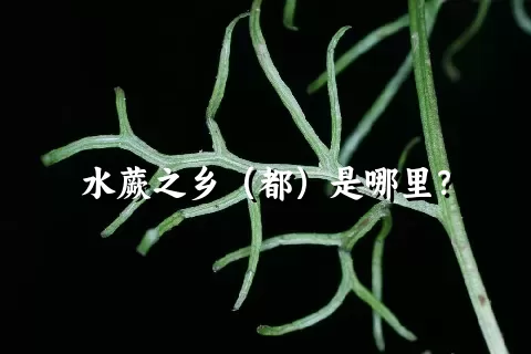 水蕨之乡（都）是哪里？