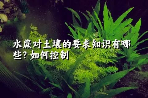 水蕨对土壤的要求知识有哪些？如何控制