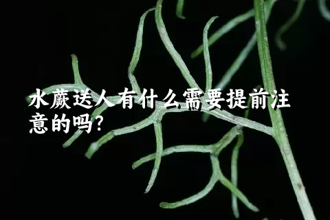 水蕨送人有什么需要提前注意的吗？