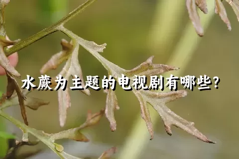 水蕨为主题的电视剧有哪些？