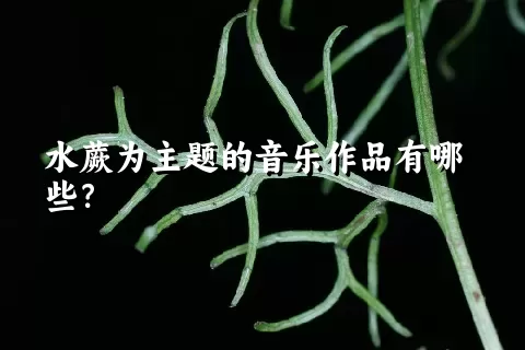 水蕨为主题的音乐作品有哪些？