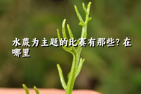 水蕨为主题的比赛有那些？在哪里