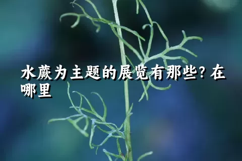 水蕨为主题的展览有那些？在哪里