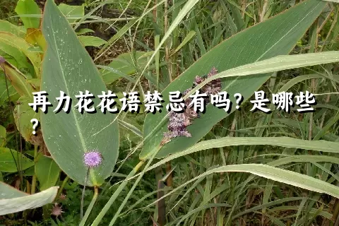 再力花花语禁忌有吗？是哪些？