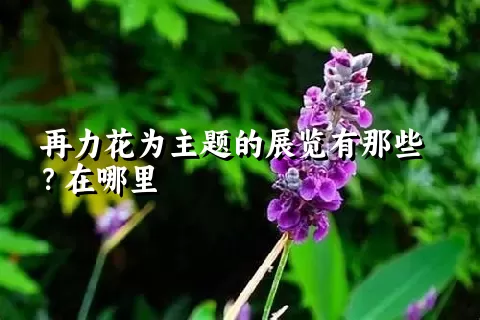 再力花为主题的展览有那些？在哪里