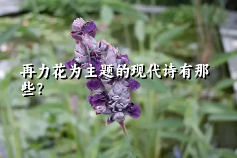 再力花为主题的现代诗有那些？