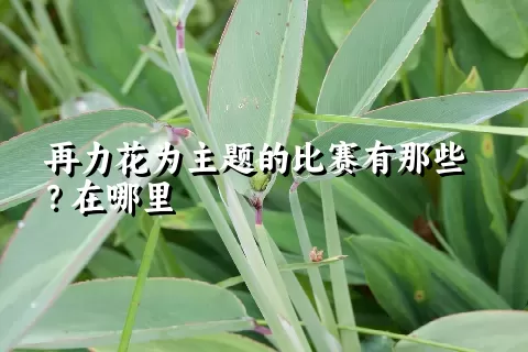 再力花为主题的比赛有那些？在哪里