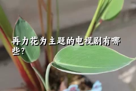 再力花为主题的电视剧有哪些？