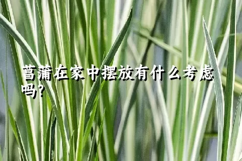 菖蒲在家中摆放有什么考虑吗？