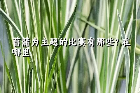 菖蒲为主题的比赛有那些？在哪里