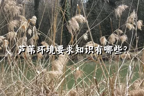 芦苇环境要求知识有哪些？