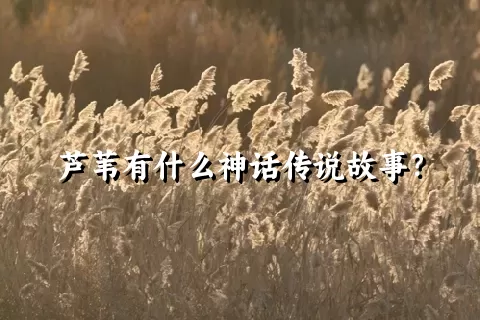 芦苇有什么神话传说故事？